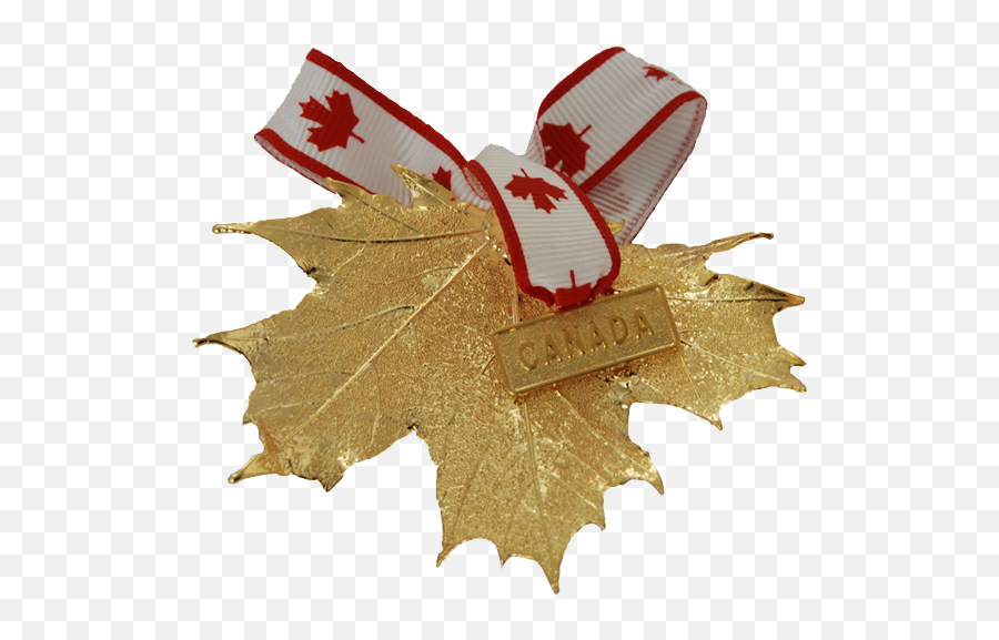 Canada Gold Maple Leaf Ornament - Canada Gold Png,Canada Leaf Png