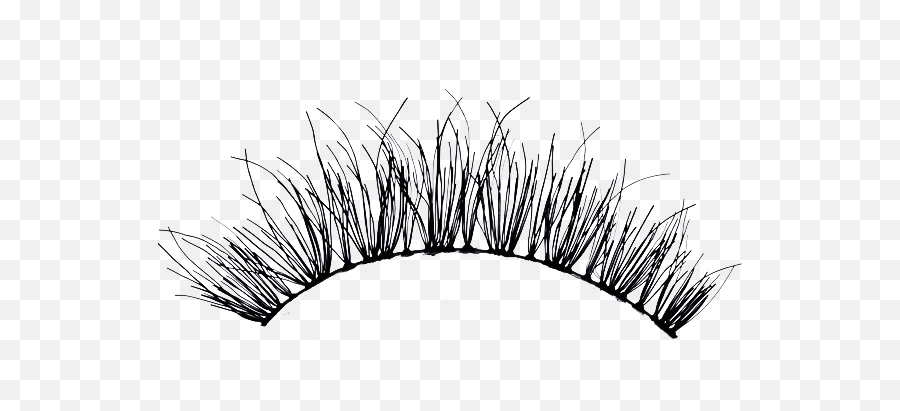 Download The Gallery For Transparent - Cartoon Eyelash Png Hd,Eyelashes Transparent Background