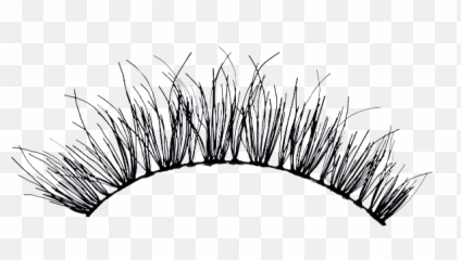 Download The Gallery For Transparent - Cartoon Eyelash Png Hd