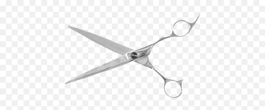 Bossman Professional Barber Scissors