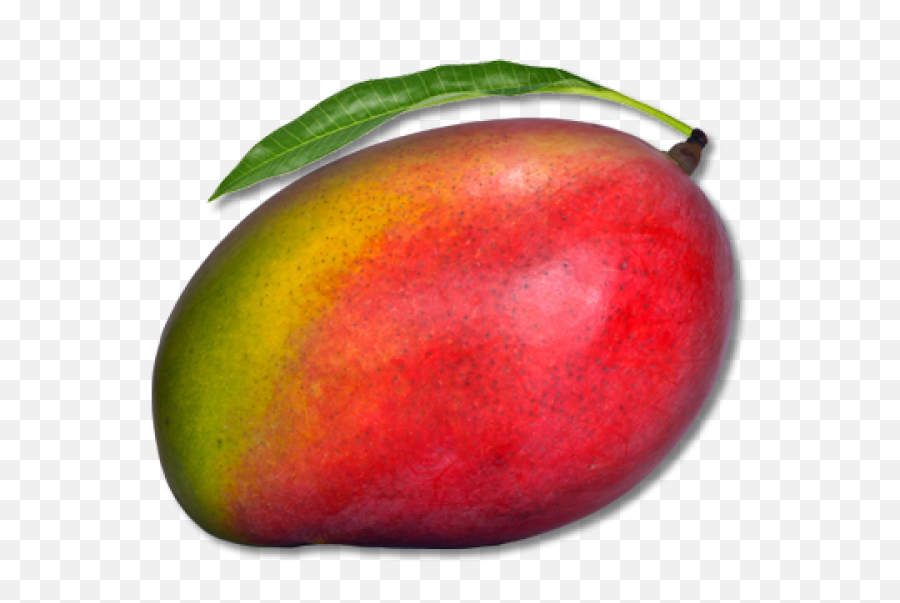 Mango Png Free Download 13 - Red Mango Png,13 Png