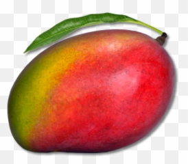 Mango Png Free Download 13 - Red Mango Png,13 Png