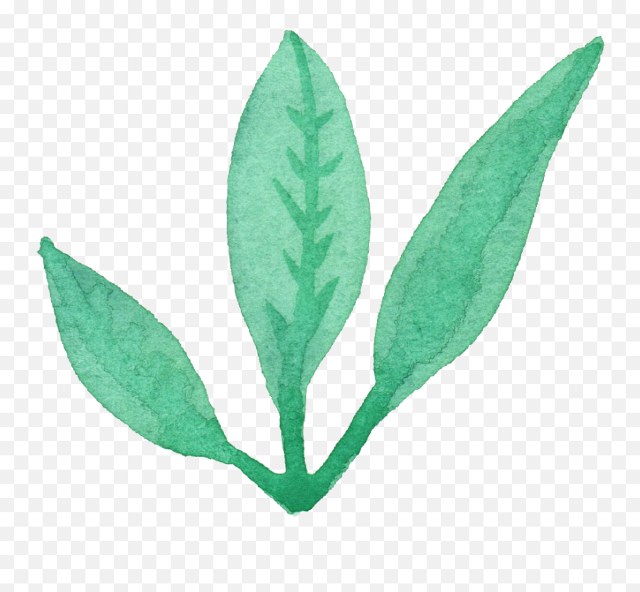 Leaf Png Transpa Vol 3 Onlygfx Com - Jolly Green Giant,Watercolor Leaves Png