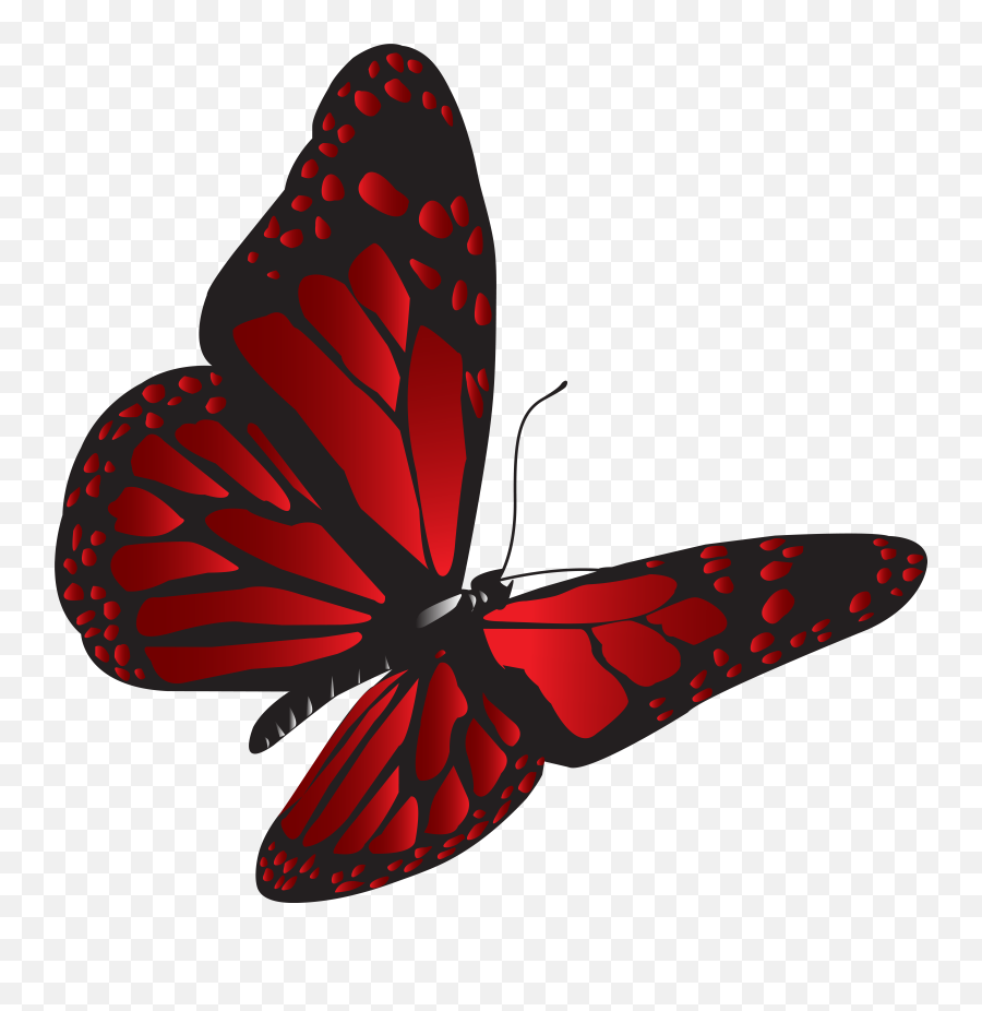Clipart Red Butterfly Png Real