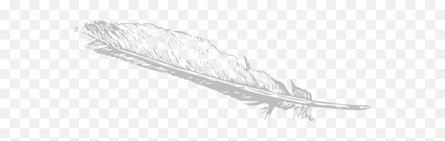 Feather Png Transparent Image 4 - Free Transparent Png Feather Clip Art,Black Feather Png