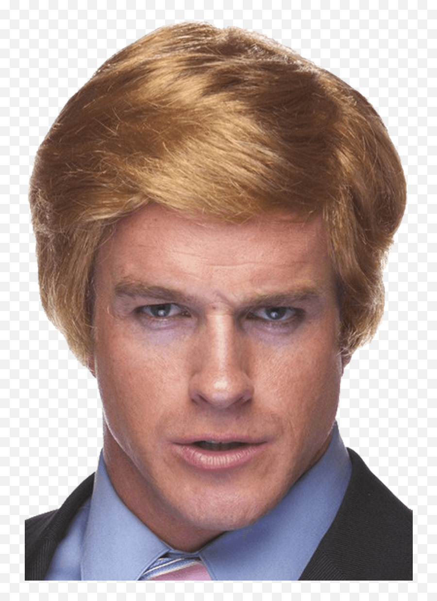 President Donald Trump Wig Accessory - Worker Png,Trump Hair Png