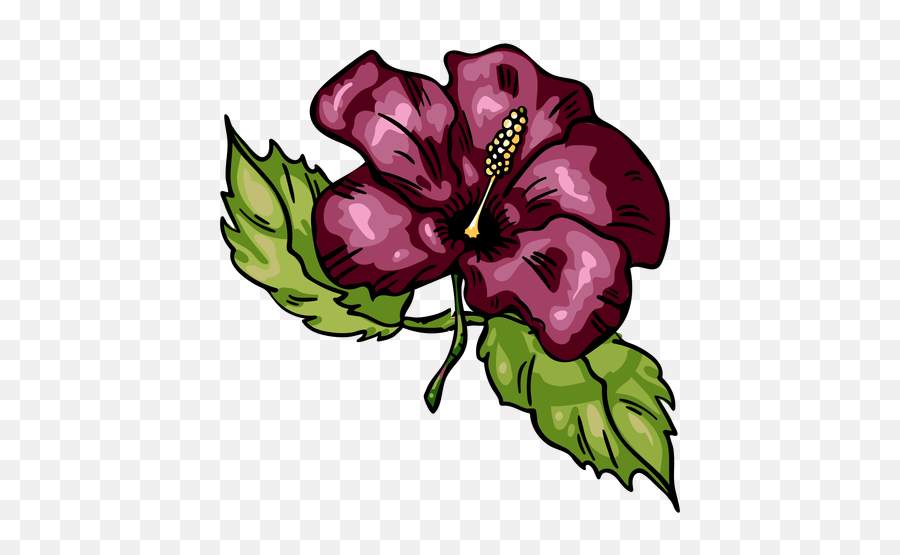 Tropical Flower Hibiscus - Transparent Png U0026 Svg Vector File Hawaiian Hibiscus,Hibiscus Flower Png