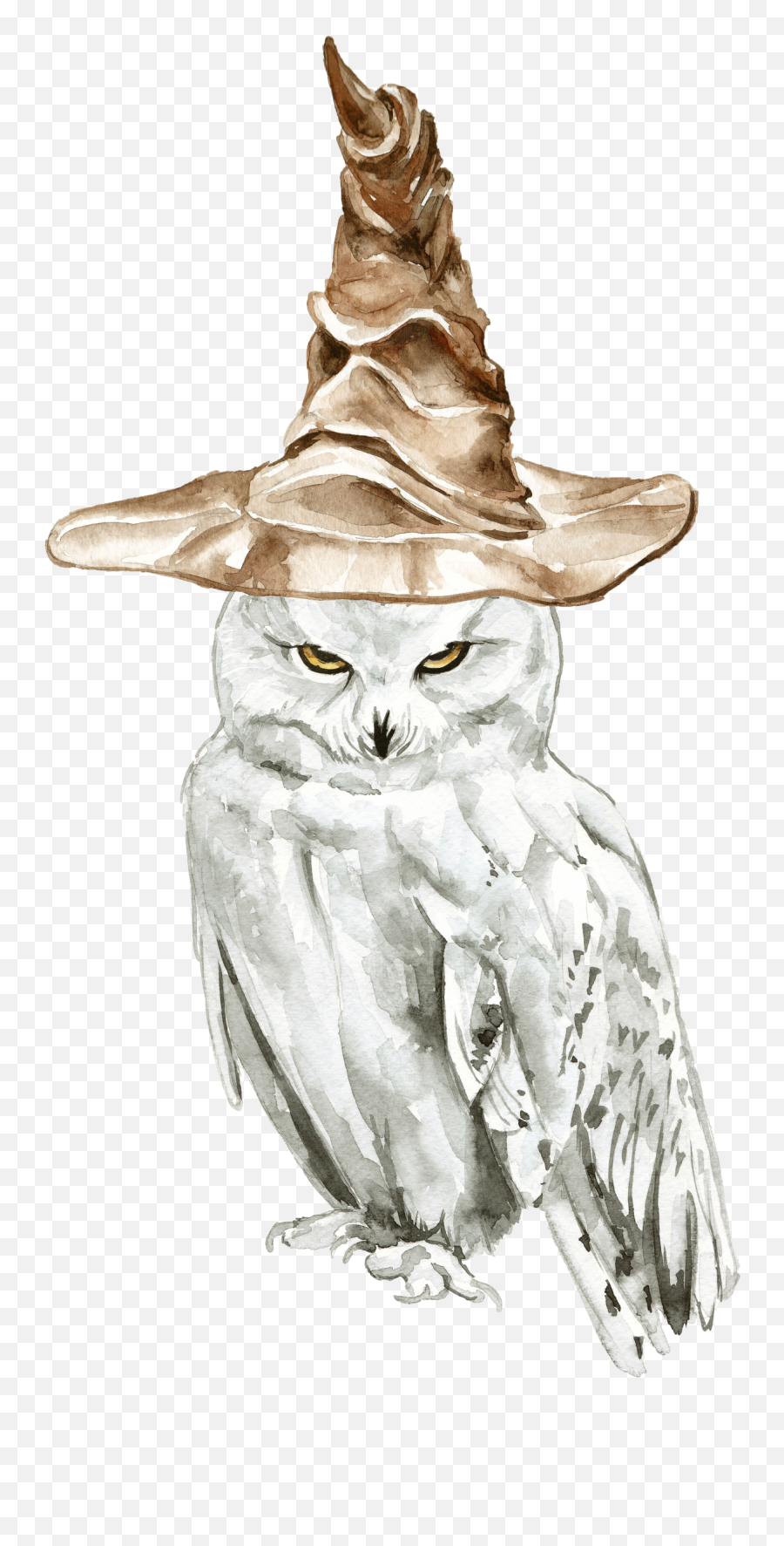 Snowy Owl Harry Potter Drawings - Harry Potter Owl Drawing Png,Harry Potter Transparent Background