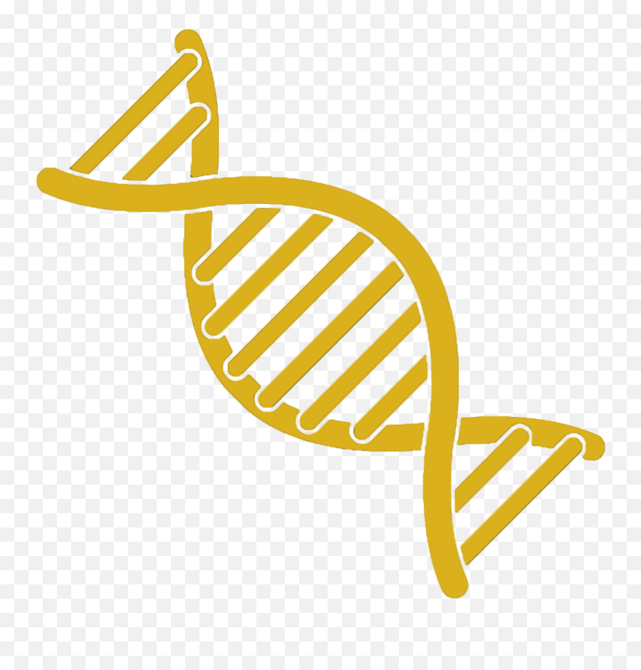 Dna Typing Of Cattle Represents A - Clipart Dna Strand Png,Dna Strand Png