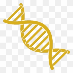 Dna Typing Of Cattle Represents A - Clipart Dna Strand Png,Dna Strand Png