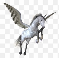 Download Pegasus Png Image - Pegasus No Background,Pegasus Png