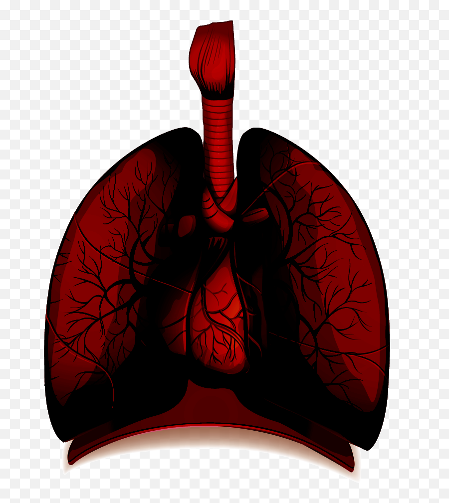Download How Healthy Are Your Lungs Png Lung