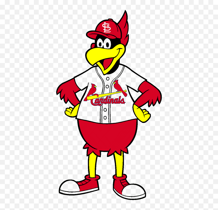 St Louis Cardinals Baseball - St Louis Cardinals Fredbird Png,Cardinal Baseball Logos