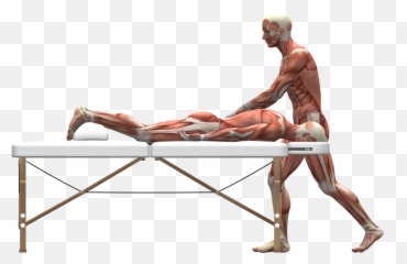 Advanced Deep Tissue Massage - Massage Image Png,Massage Png