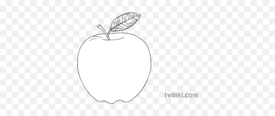 Apple Fruit Black And White Illustration - Twinkl Fresh Png,Apple White Logo