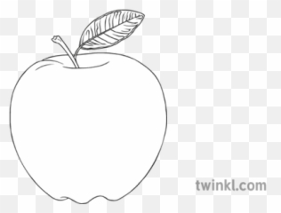 Apple Fruit Black And White Illustration - Twinkl Fresh png