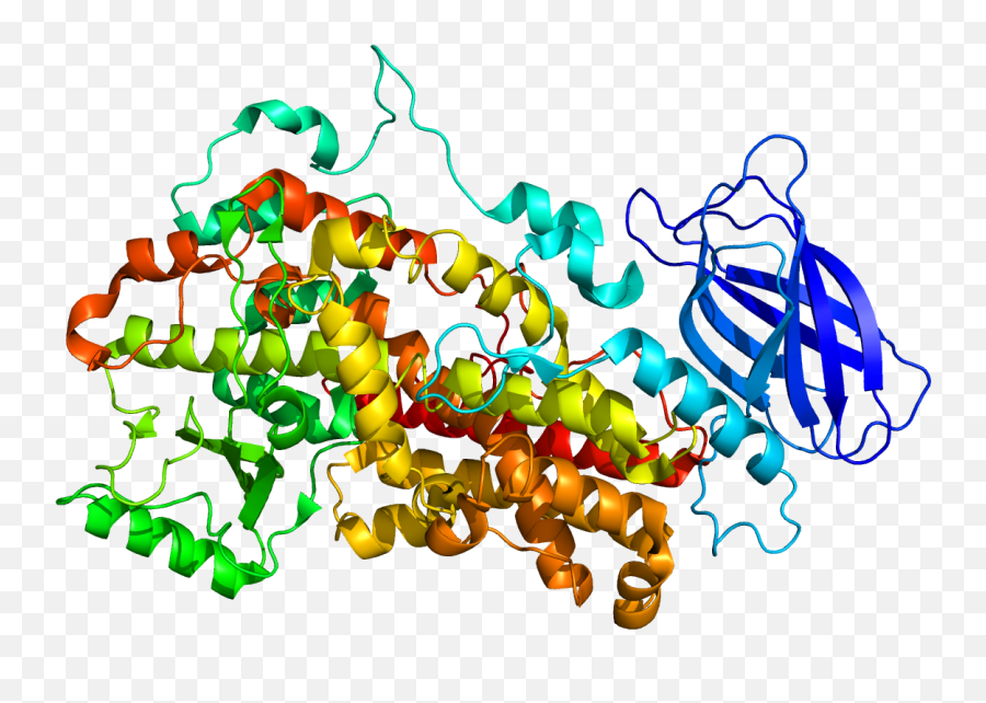 Protein Alox12 Pdb 2abu - Alox 12 Png,Protein Png