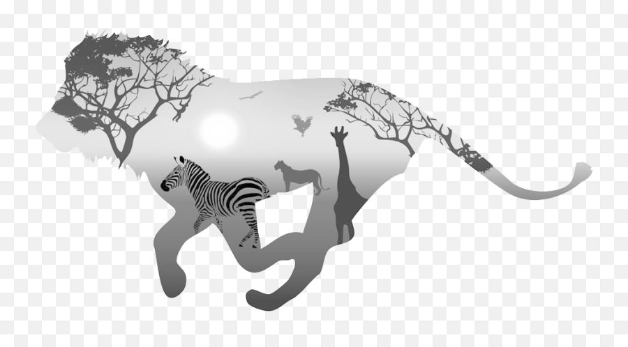 Animals Png - Lion King Of The Animals Canvas Painting Wall Painting Black And White Animals,Transparent Animals