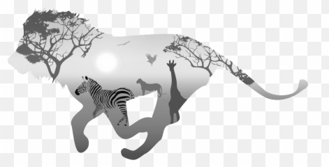 Animals Png - Lion King Of The Animals Canvas Painting Wall Painting Black And White Animals,Transparent Animals