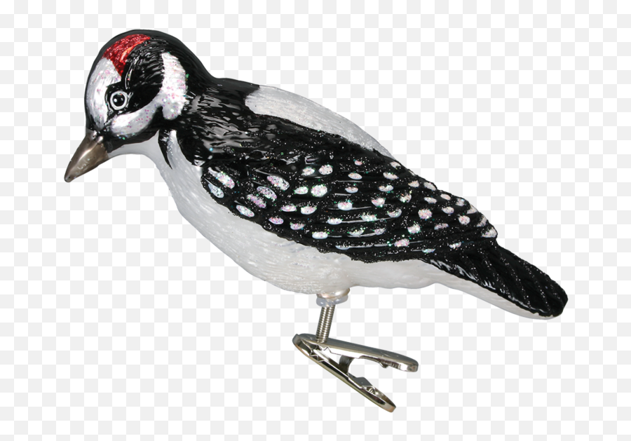 Woodpecker Png Free Pic