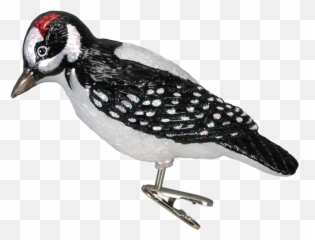 Woodpecker Png Free Pic