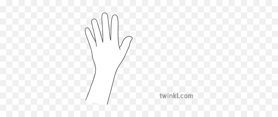 Blank Hand Outline Eyfs Black And White - Outline Hand Black White Png,Hand Outline Png