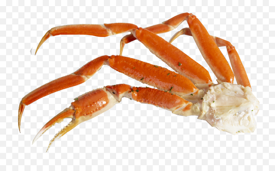 Snow Crab Legs - Grocery Png,Crab Legs Png