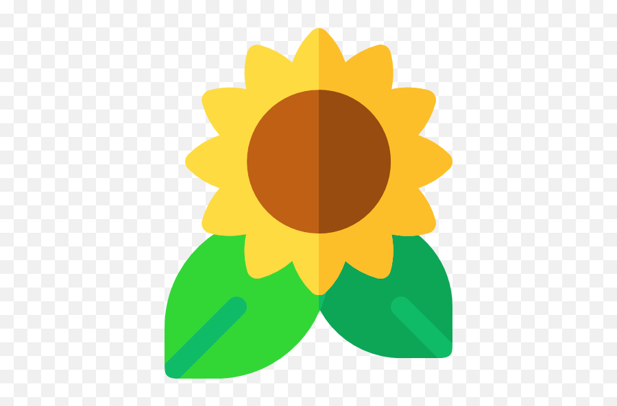 Flat Version Sunflower Icon Png