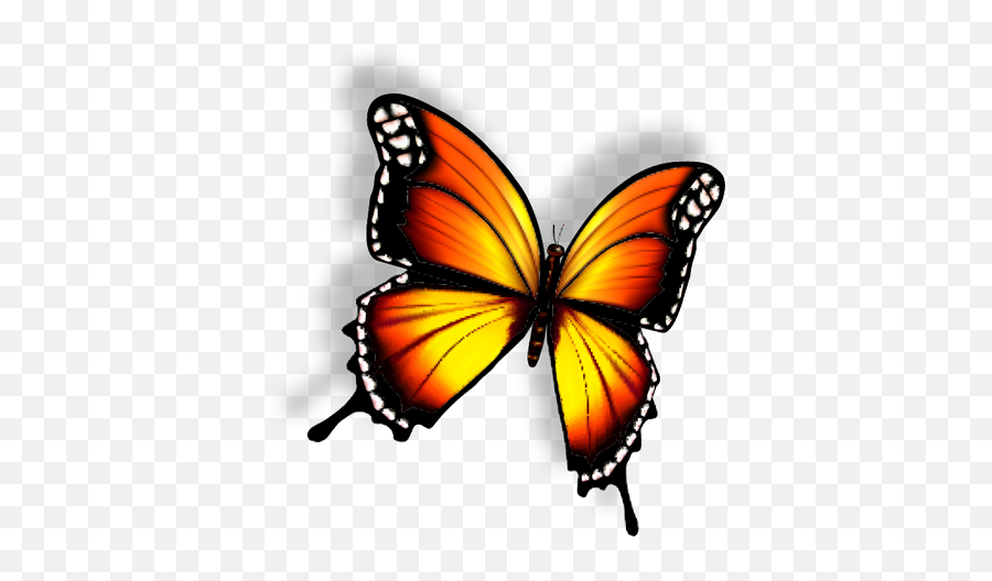 Le Papillon Butterfly U2013 Restaurante U0026 Beach Club - Monarch Butterfly Png,Monarch Butterfly Icon