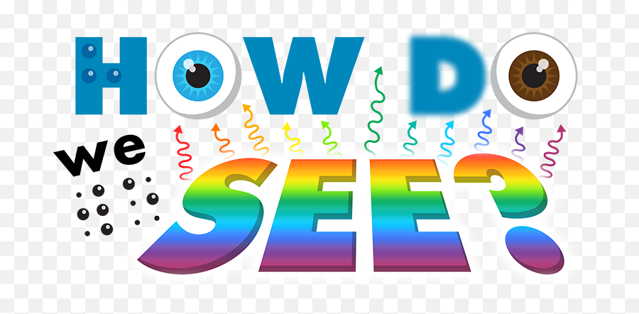 Our Sense Of Sight - Dot Png,5 Senses Icon