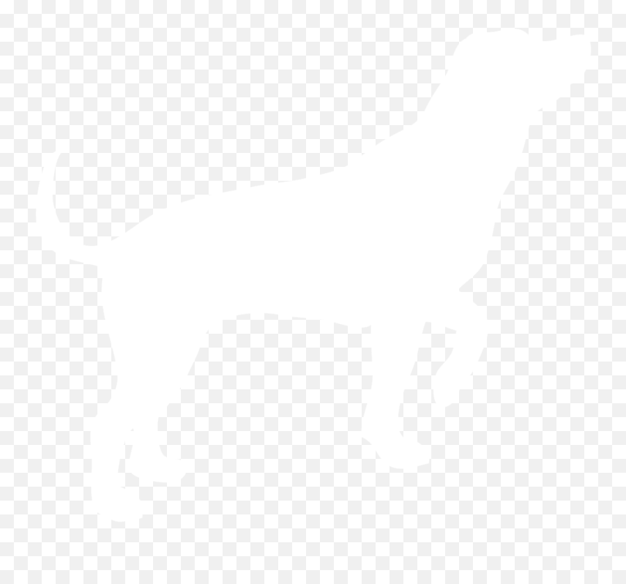 Dog Png Image Dogs Puppy Pictures - White Dog Silhouette Png,Dogs Png