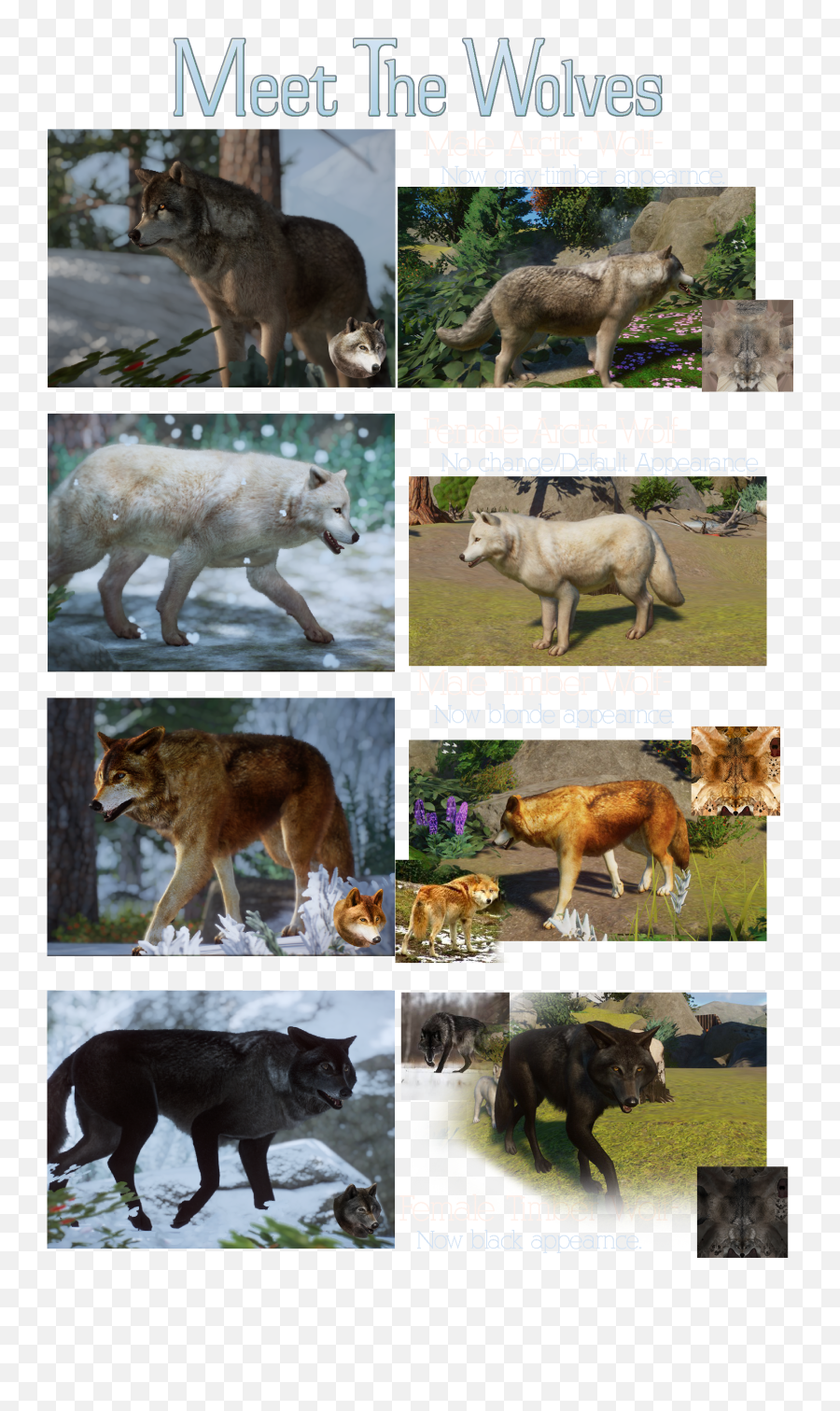 Wolf Colors - Mods And Community Animal Figure Png,Wolves Icon