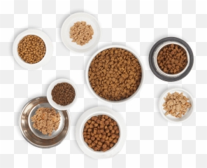 Right Food Finder The Best Dog For Your Pup Petco - png