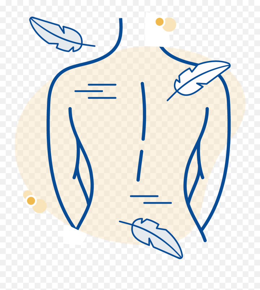 Apron Weight And Musculoskeletal Health - Dot Png,Icon Spine Protector