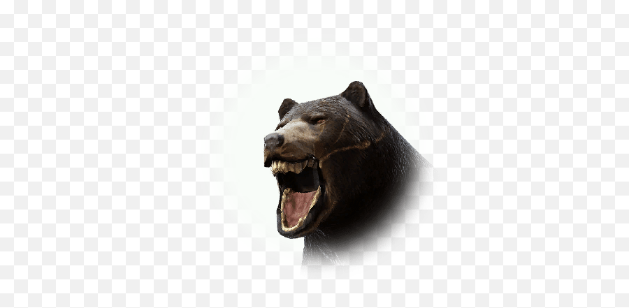 Serendia Bear - Bdo Codex Serendia Bear Location Bdo Png,Black Bear Icon