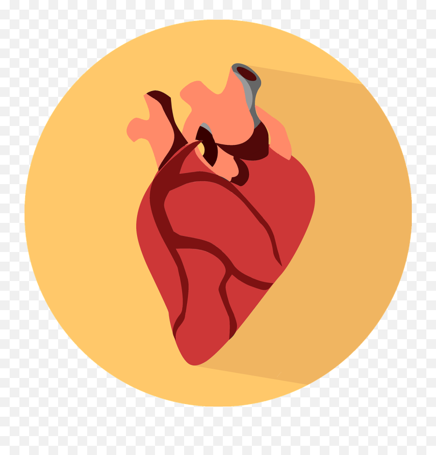 Why Heart Rate Rises U0026 How To Lower It - Skill Speed Power Human Heart Icon Png,Heart Beat Png