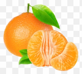 Clementine Png 5 Image - Clementine Oranges,Clementine Png