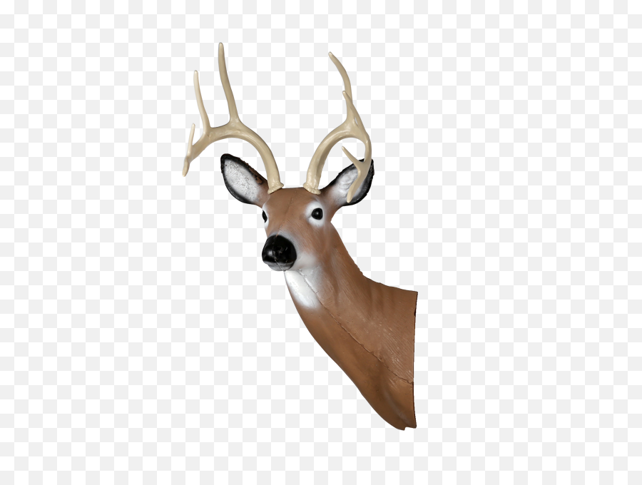 Deer Head Transparent Png Image