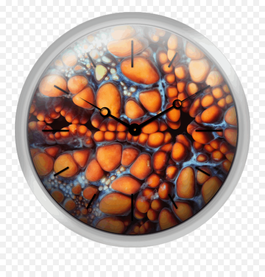 Xpress Clocks - Gallery Sea Star Stained Glass Png,Sea Star Png