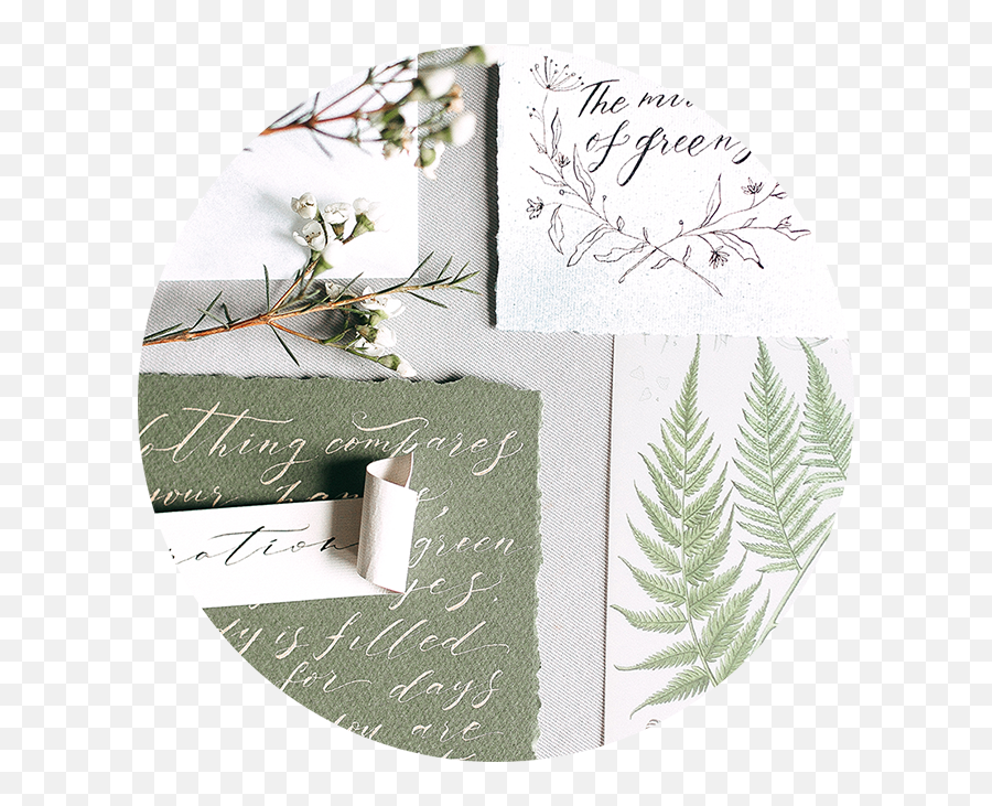 Studio Home U2013 Kanna - Ostrich Fern Png,Kanna Png