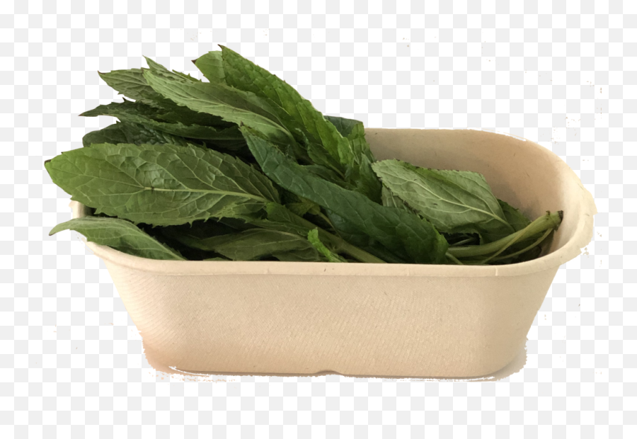 Organic Fresh Mint - 50g Spinach Png,Mint Png