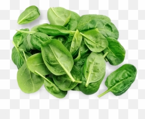 Download 3 - Spinach Png Image With No Background Pngkeycom Tatsoi,Spinach Png