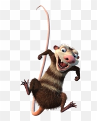 Crash Ice Age Wiki Fandom Png Opossum