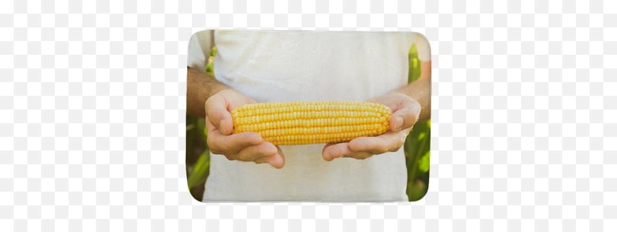 Farmer Holding Corn Maize Cob Bath Mat U2022 Pixers We Live To Change - Corn On The Cob Png,Corn On The Cob Png