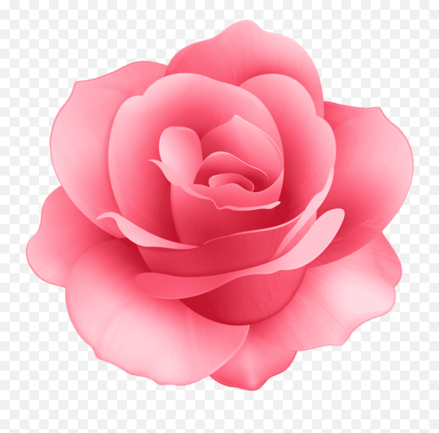 Rose Flower Png Images Background - Transparent Background Pink Flower Clipart,Rose Flower Png