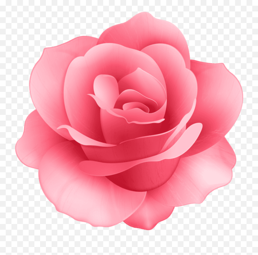 Rose Flower Png Images Background Transparent Background Pink Flower Clipart Rose Flower Png Free Transparent Png Images Pngaaa Com