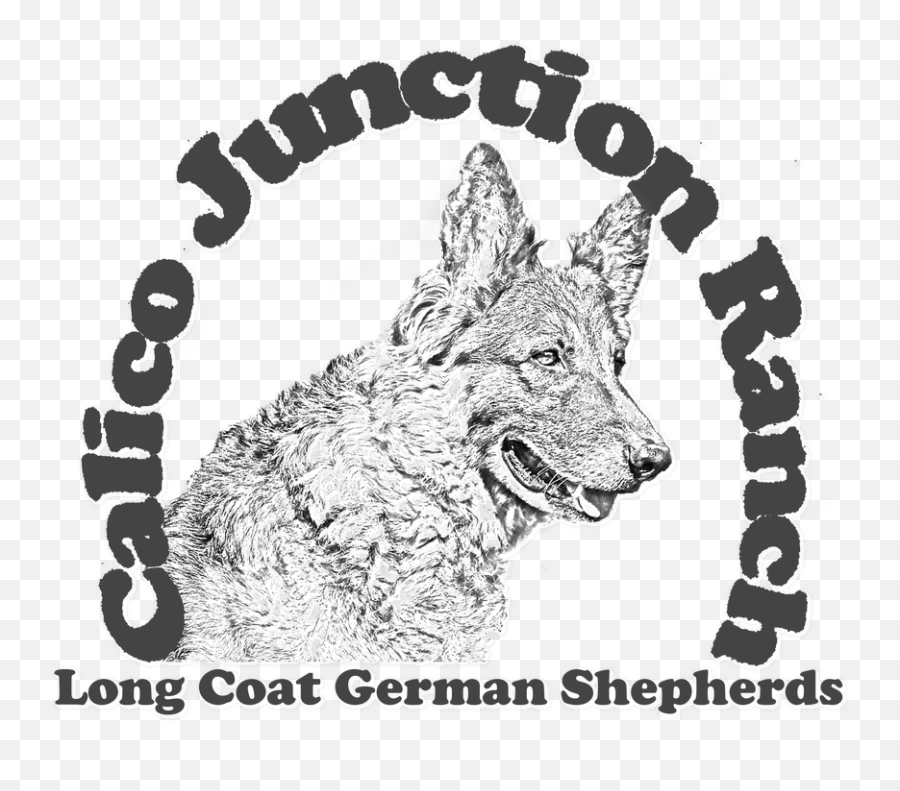 Calico Junction Ranch Long Coat German Shepherds - Calico Love Nerds Png,German Shepherd Png