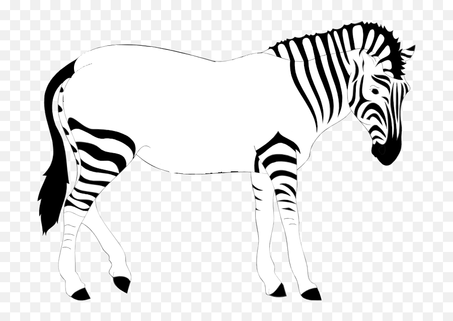 Download Hd Print Out The Zebra - 10 Lines On Zebra Zebra Lost His Stripes Png,Zebra Png