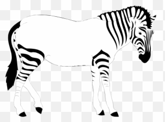 Download Hd Print Out The Zebra - 10 Lines On Zebra Zebra Lost His Stripes Png,Zebra Png