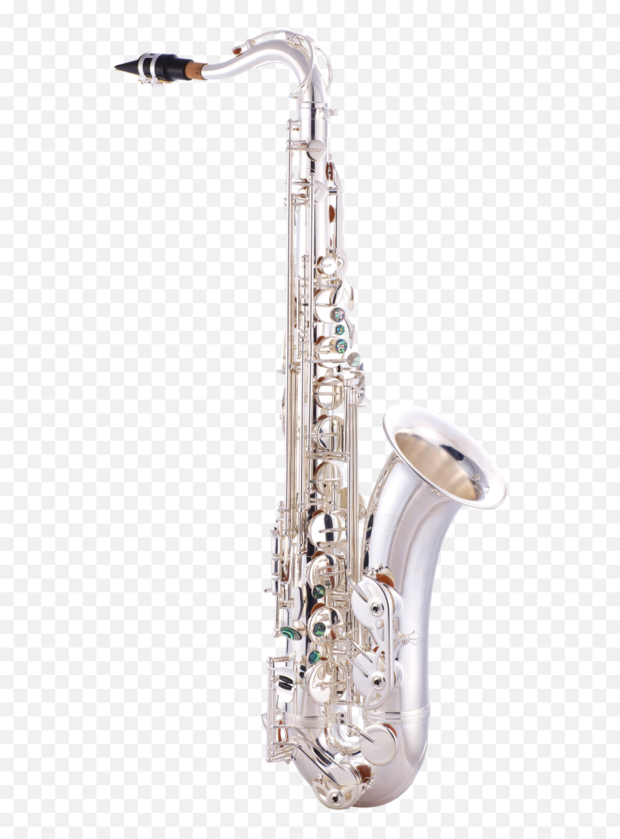 John Packer Jp042 Bb Tenor Saxophone - Jp Musical Instruments Difference Between A Alto Sax And Tenor Sax Png,Saxophone Png